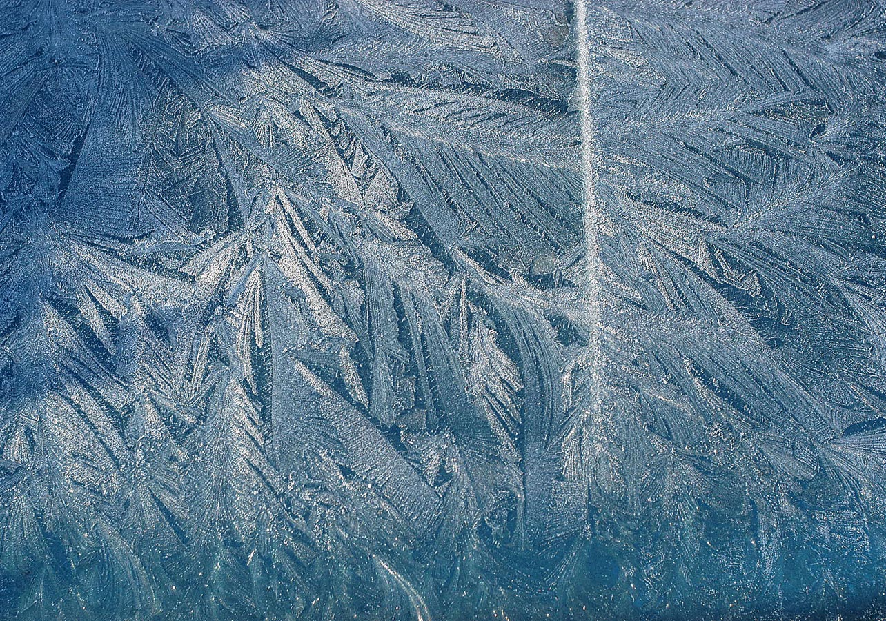 frostflowers-0007
