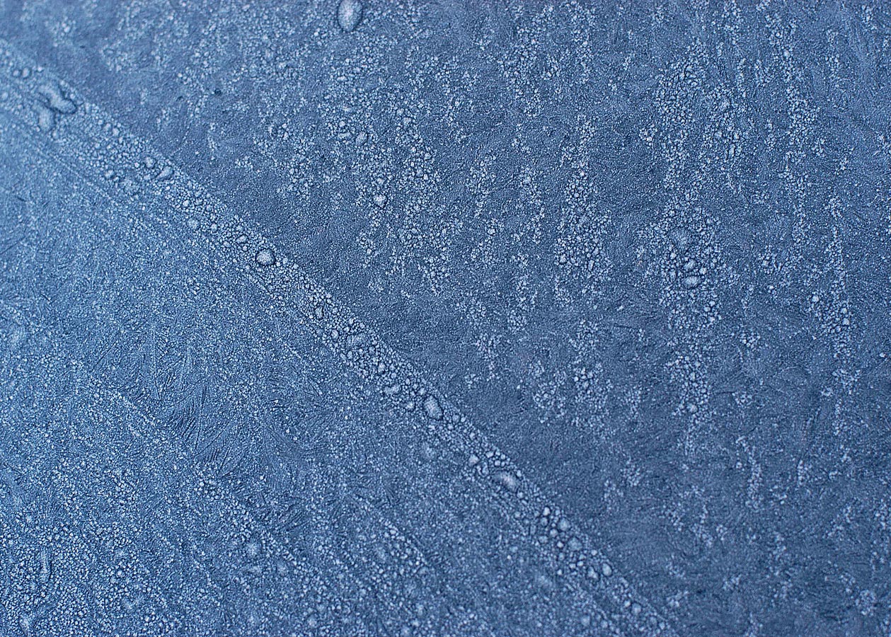 frostflowers-0031