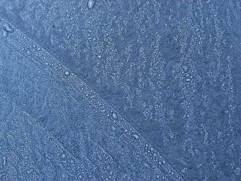 frostflowers-0031